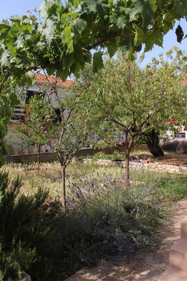 Apartments With A Parking Space Sali, Dugi Otok - 8136 Екстериор снимка